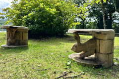 20230719_100515050_iOS