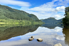 20230719_084833158_iOS