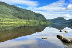 20230719_084911292_iOS