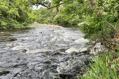 20230719_140006051_iOS