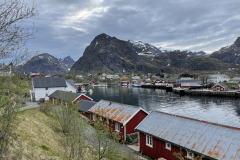 20220524_161710756_iOS