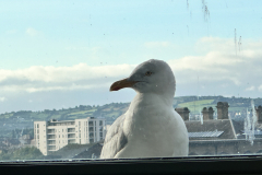 20230715_061232286_iOS