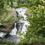 Reekie Lynn Waterfall